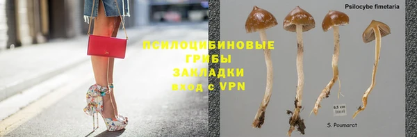 синтетический гашиш Зеленодольск