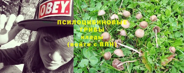 наркотики Заволжск
