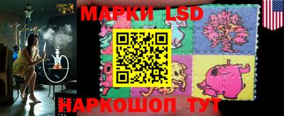apvp Канаш