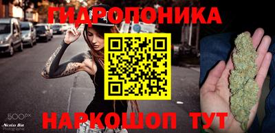 apvp Канаш