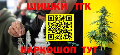 прущие крисы Кандалакша
