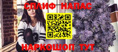 apvp Канаш