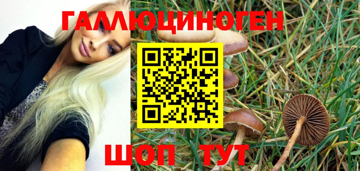 Псилоцибиновые грибы GOLDEN TEACHER  Вход с VPN  Галлюциногенные грибы Magic Shrooms  купить наркотики цена  Рубцовск 