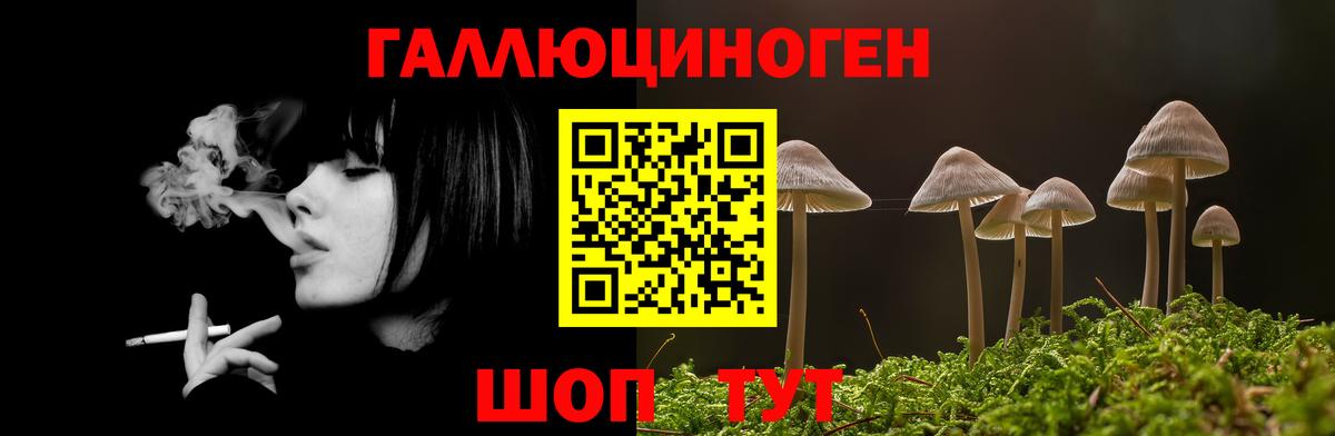 Псилоцибиновые грибы Cubensis Рубцовск